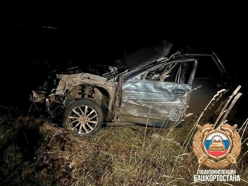 17-летний водитель «Приоры» сбил лошадь — трое пострадали
