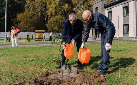 В Зеленодольске в «Доме заботы» высадили 20 деревьев