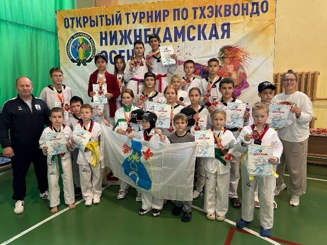 Елабужские тхэквондисты завоевали 16 медалей на турнире в Нижнекамске