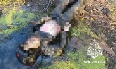 В Татарстане сапбордист обнаружил тело 29-летнего мужчины в Каме