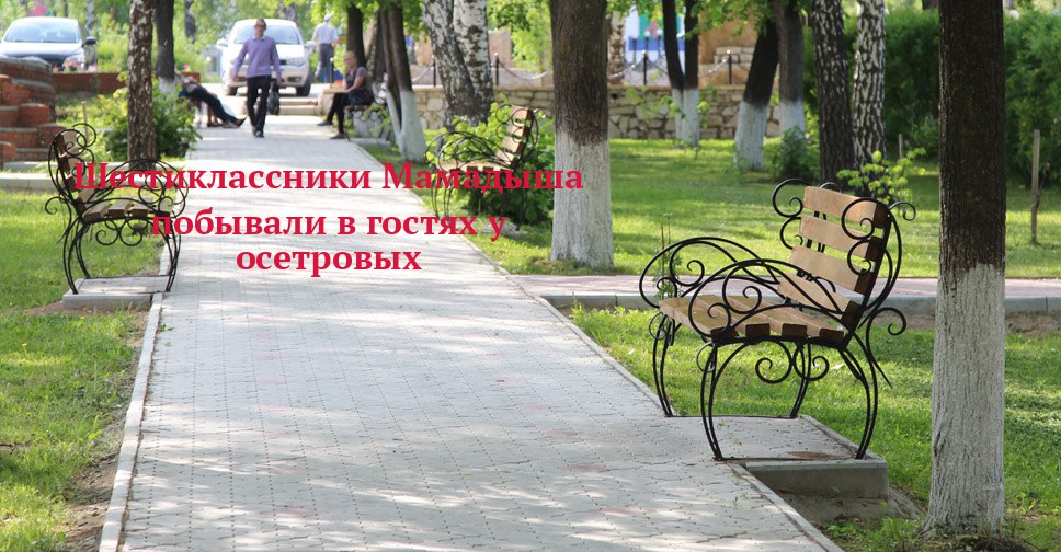 Шестиклассники Мамадыша нашли, куда уходит местный осётр