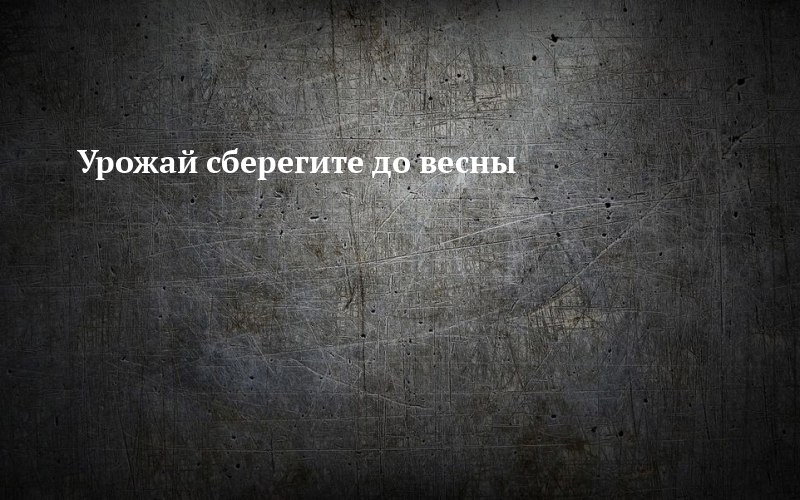 Тетюши: как не потерять урожай к весне