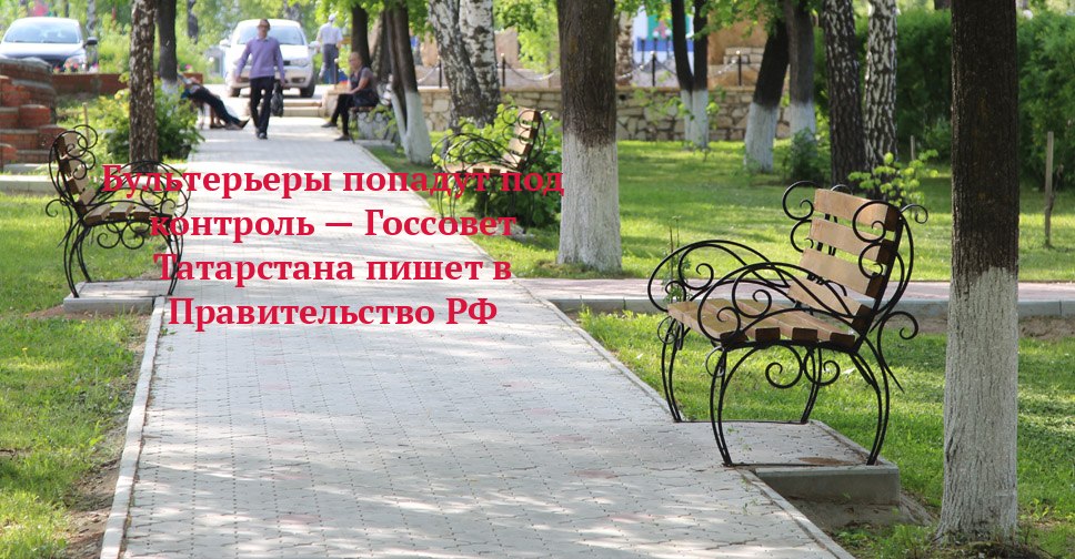 Татарстан просит Москву приструнить бультерьеров
