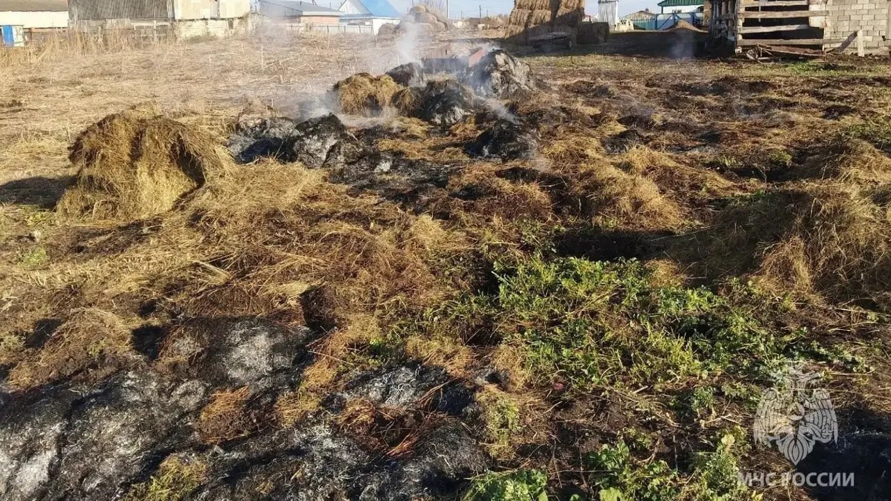 Спички детям не игрушка: двое ребенка попали в реанимацию после поджога сена в Башкирии