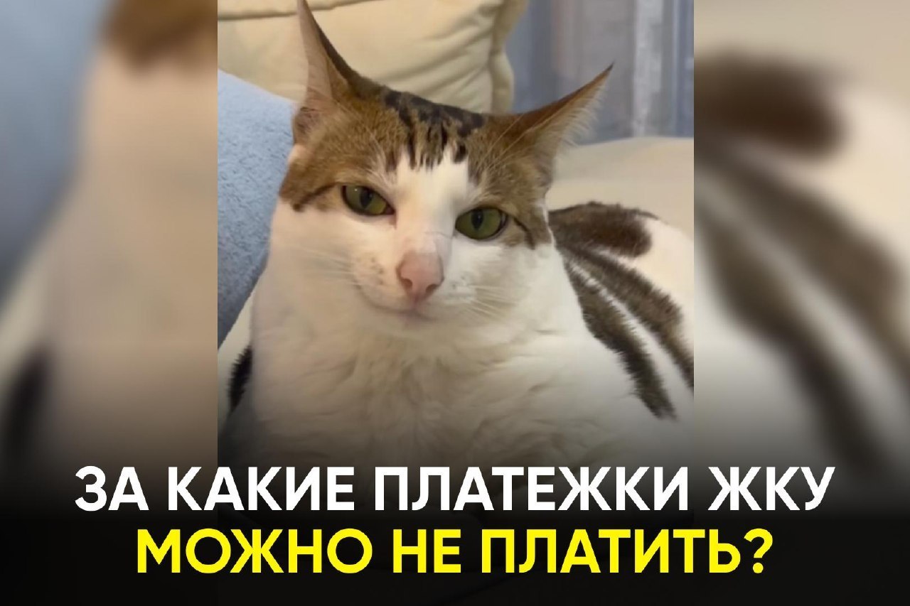 Не все строки в платёжке обязательны к оплате
