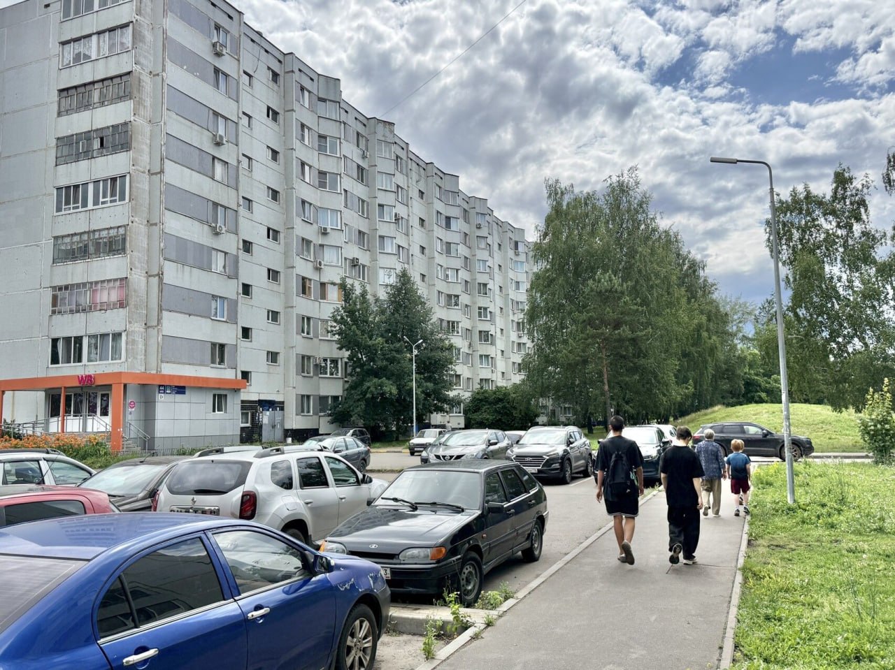 В Челнах на уход за зелёными насаждениями направят 79,4 млн рублей