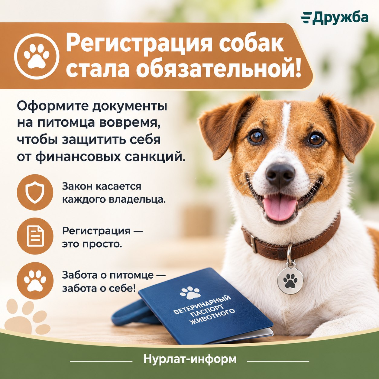 В Нурлате за собаку без документов — штраф