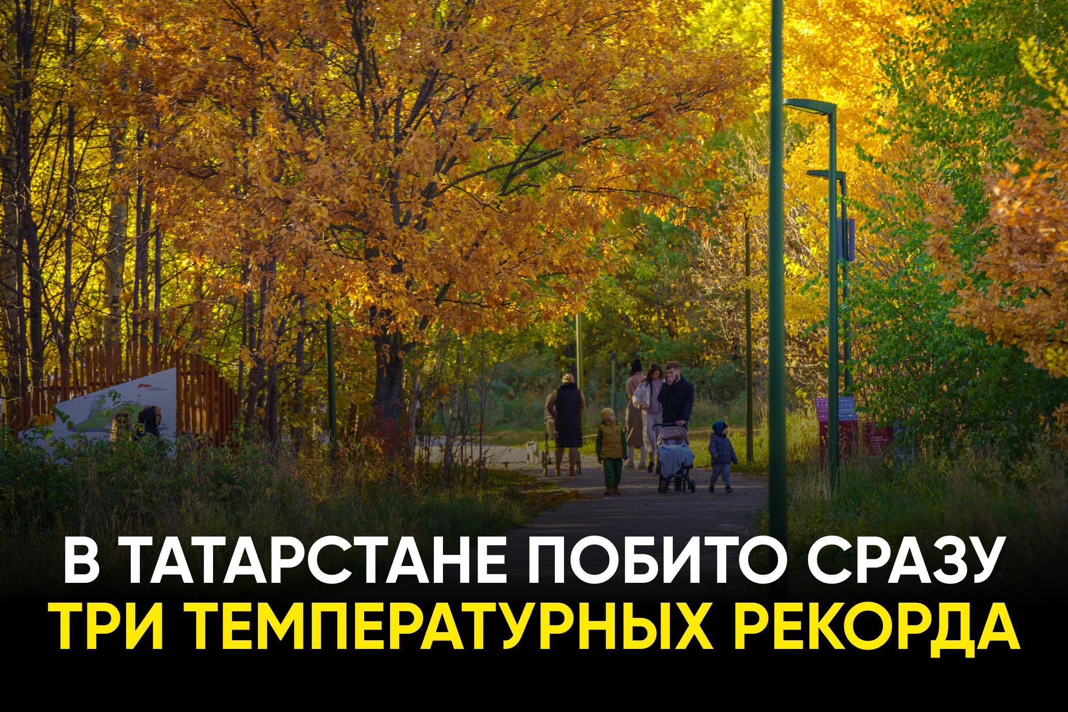 Бабье лето сдаёт позиции