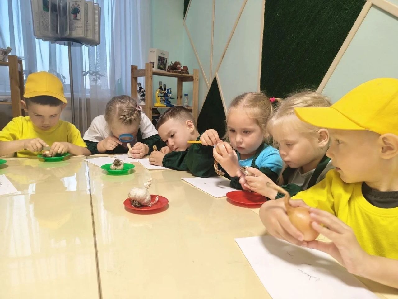 В детском саду «Буратино» юные исследователи изучали лук и чеснок