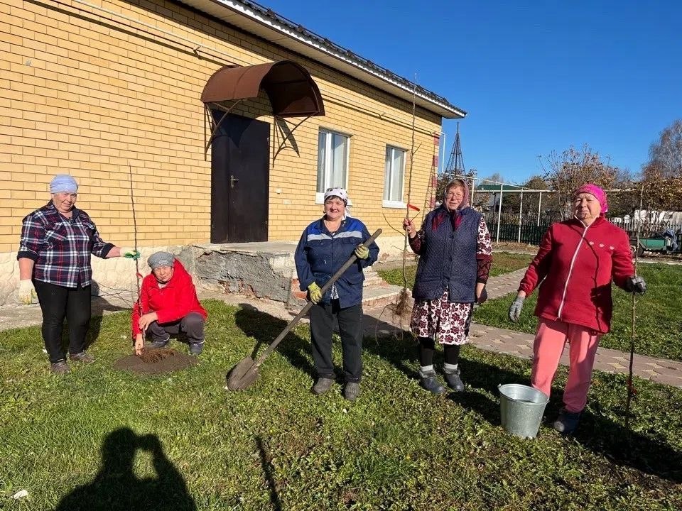 В Вожже высадили 15 яблонь — а деньги на саженцы собирали сами жители