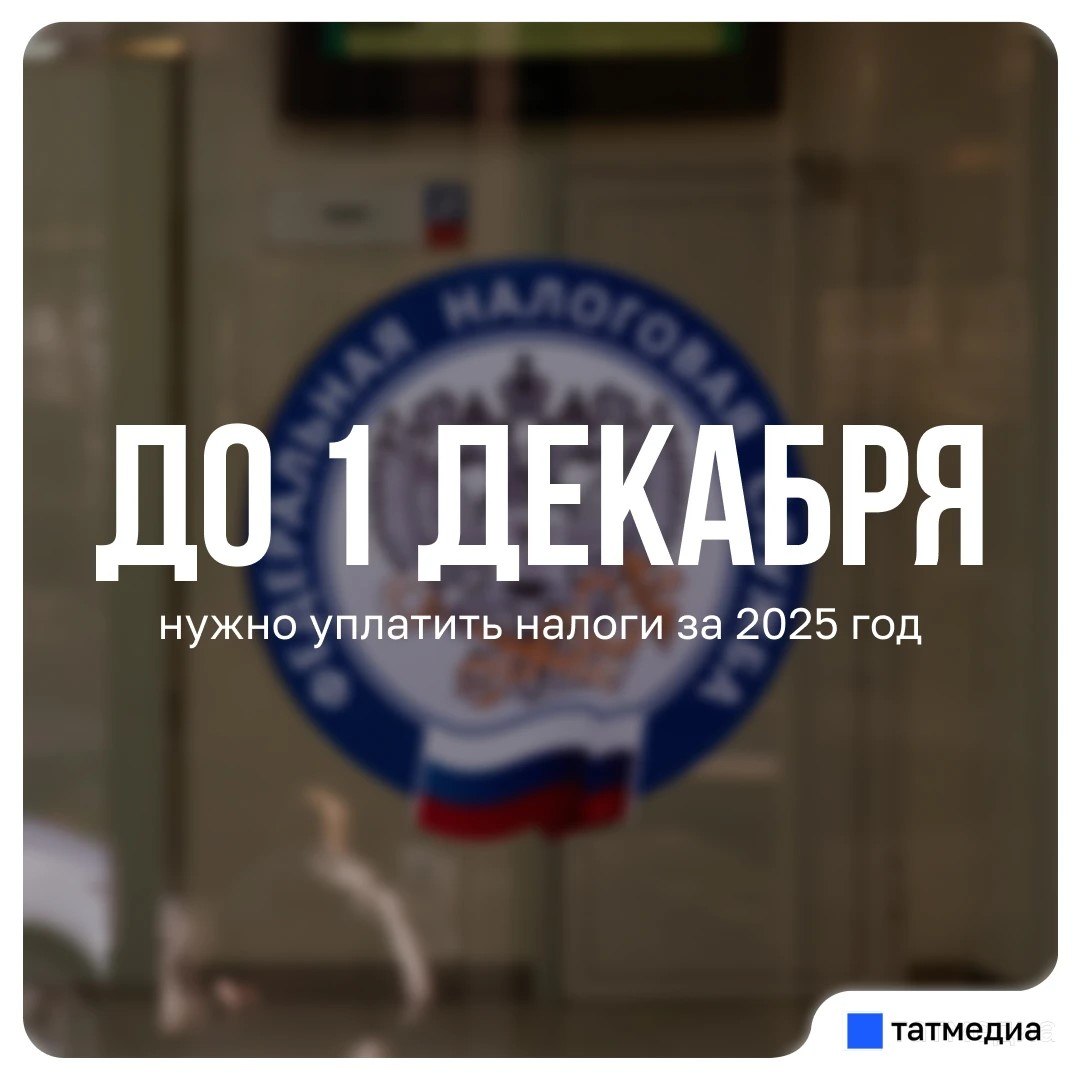 Когда начнут капать пени за неуплаченные налоги