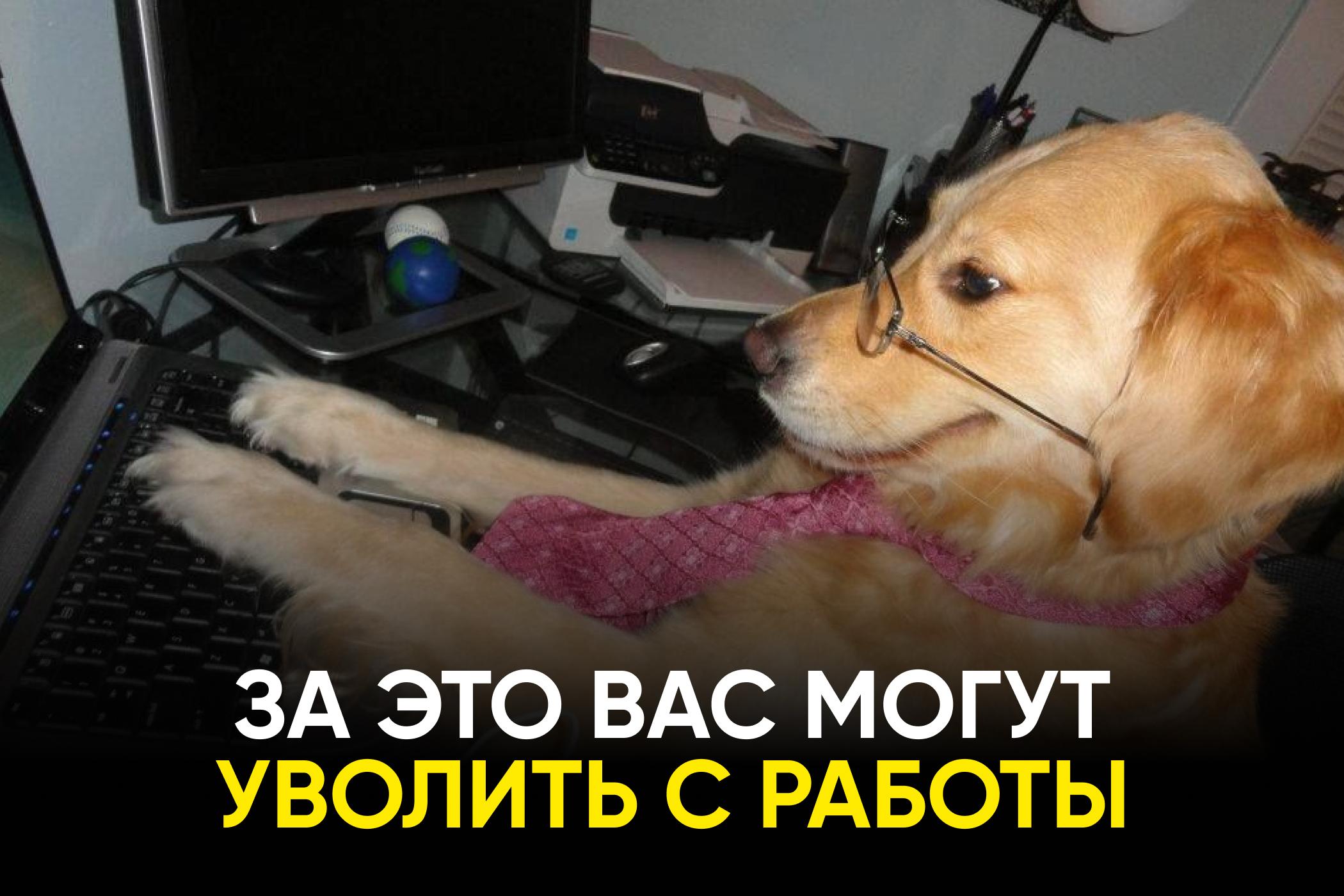 Одна ошибка — и увольнение без права на второй шанс