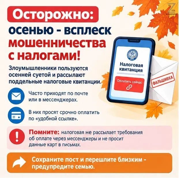 Осенний сезон — время для мошенников с налогами