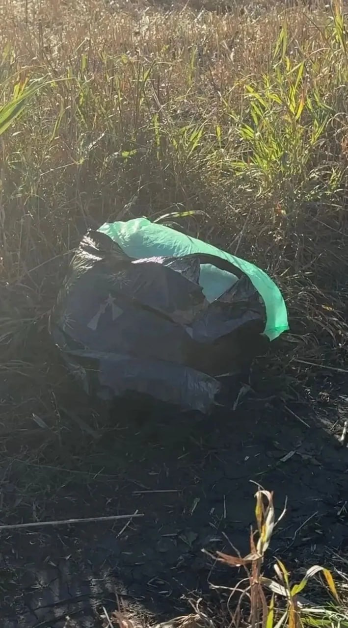 В Чистопольском районе задержали двух мужчин с почти 900 граммами наркотиков