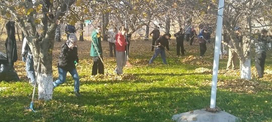 В Балтасинском районе волонтёры привели в порядок территорию Салаусского лицея