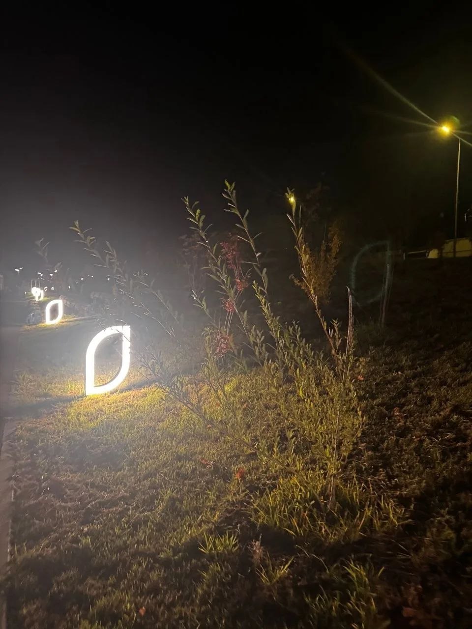 Вечер на пару строк