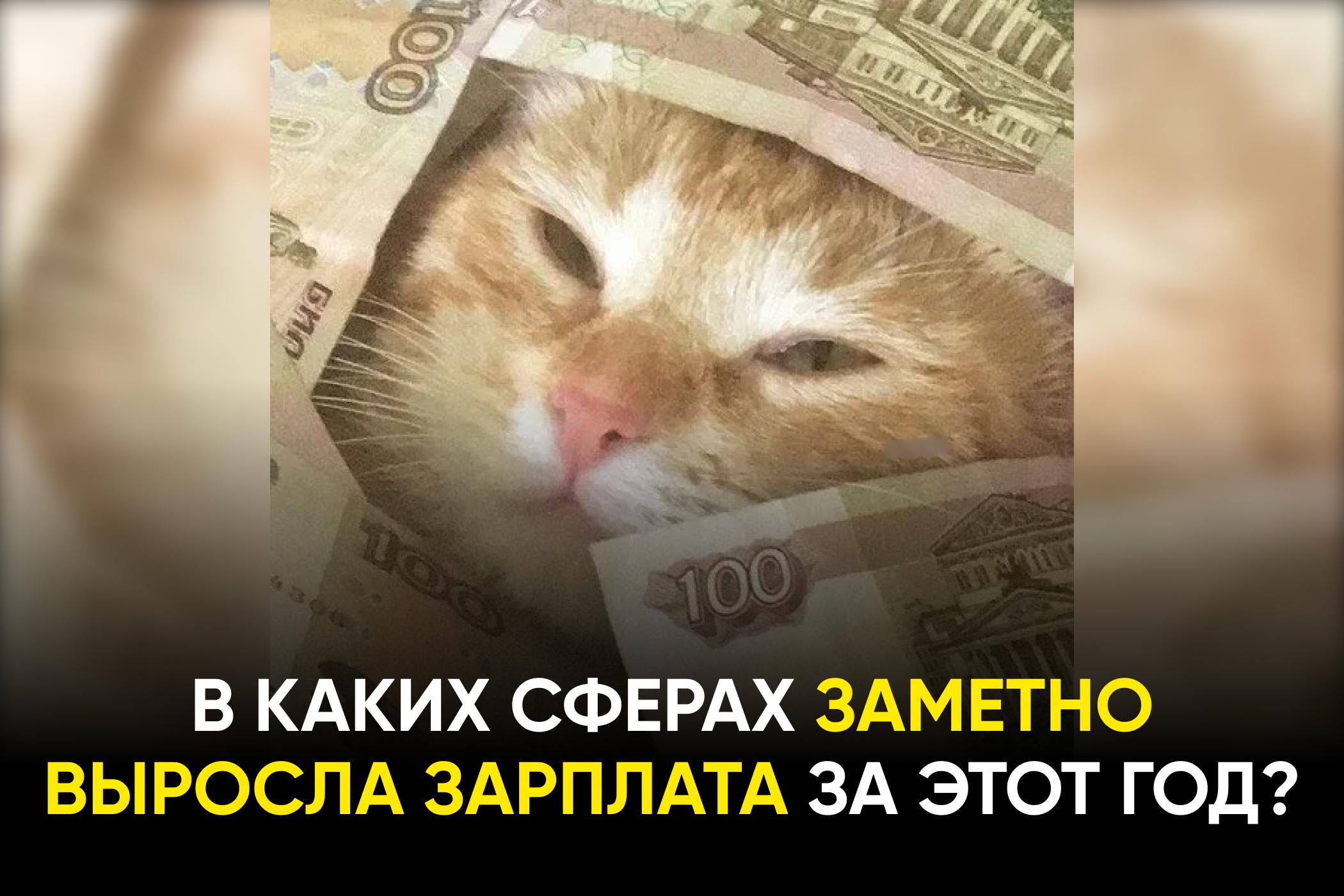 Рынок труда меняется — но не везде одинаково