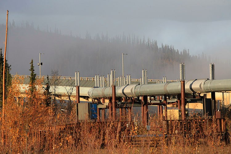 В Лениногорском районе раскрыли схему кражи нефти: задержания, погоня и стрельба