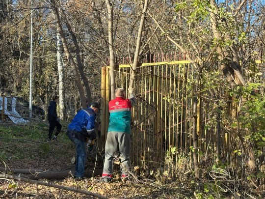 Студенты Лениногорского техникума помогли привести в порядок территорию ЦРБ