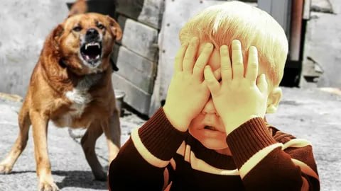 В Татарстане собака укусила 8-летнего мальчика в парке